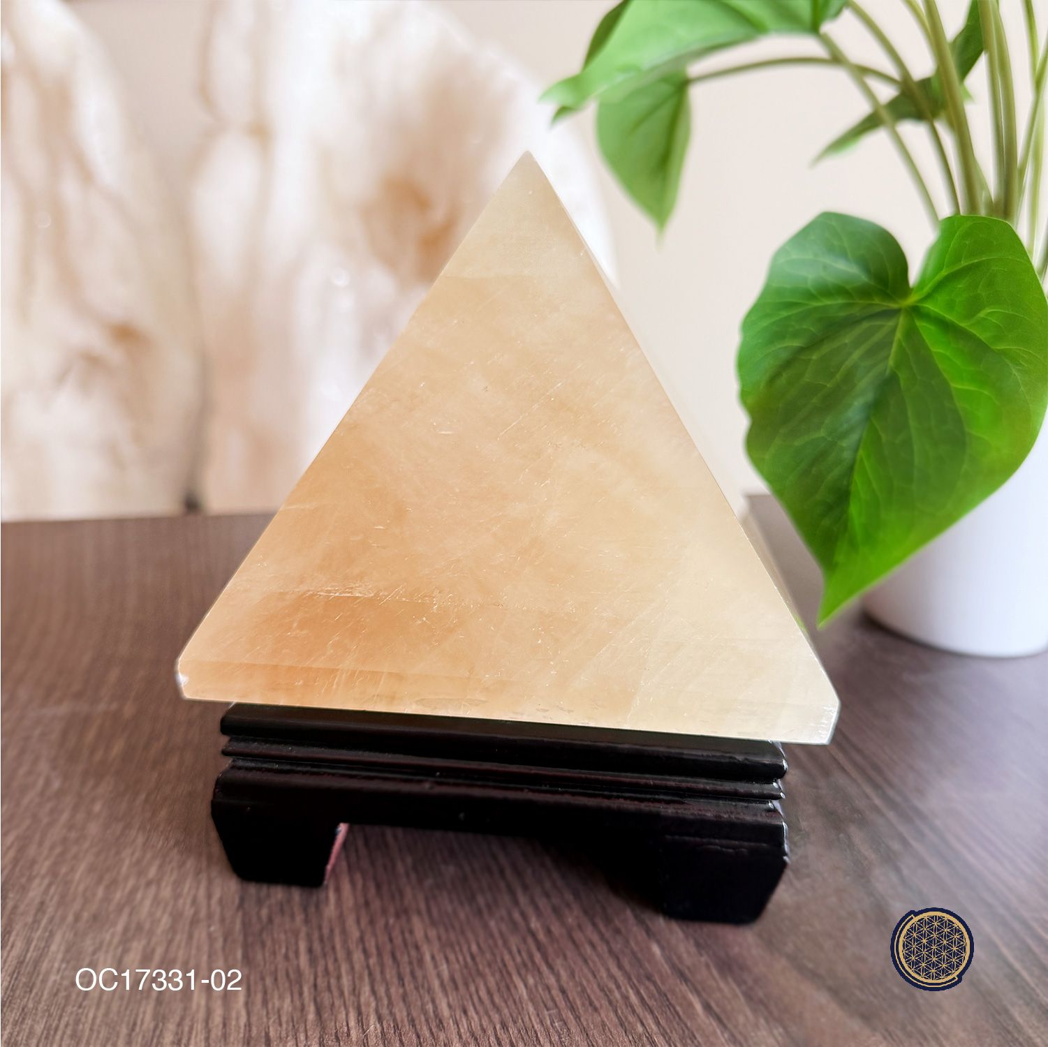 Clear Quartz Point