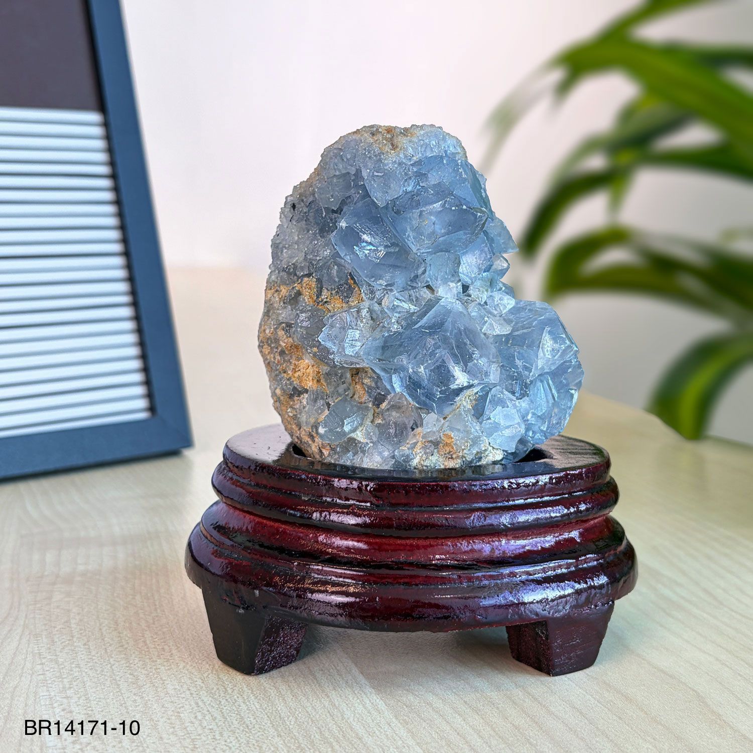 Sirius Carnelian